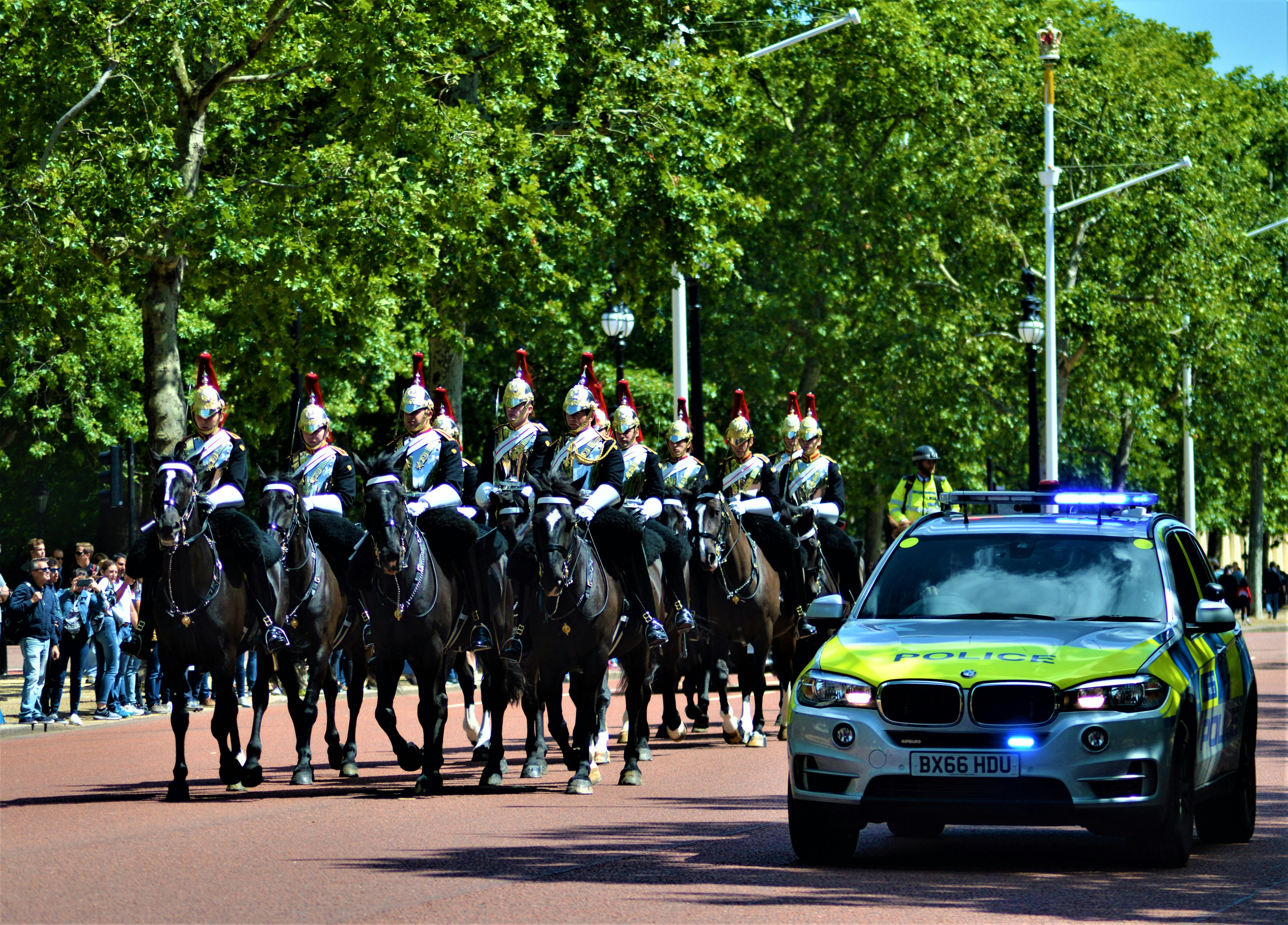 Photo by mark_leishman2