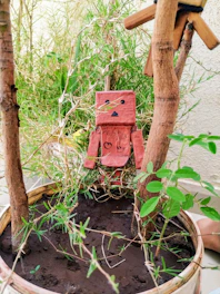 A cheerful ceramic cartoon robot planter with vibrant greenery.