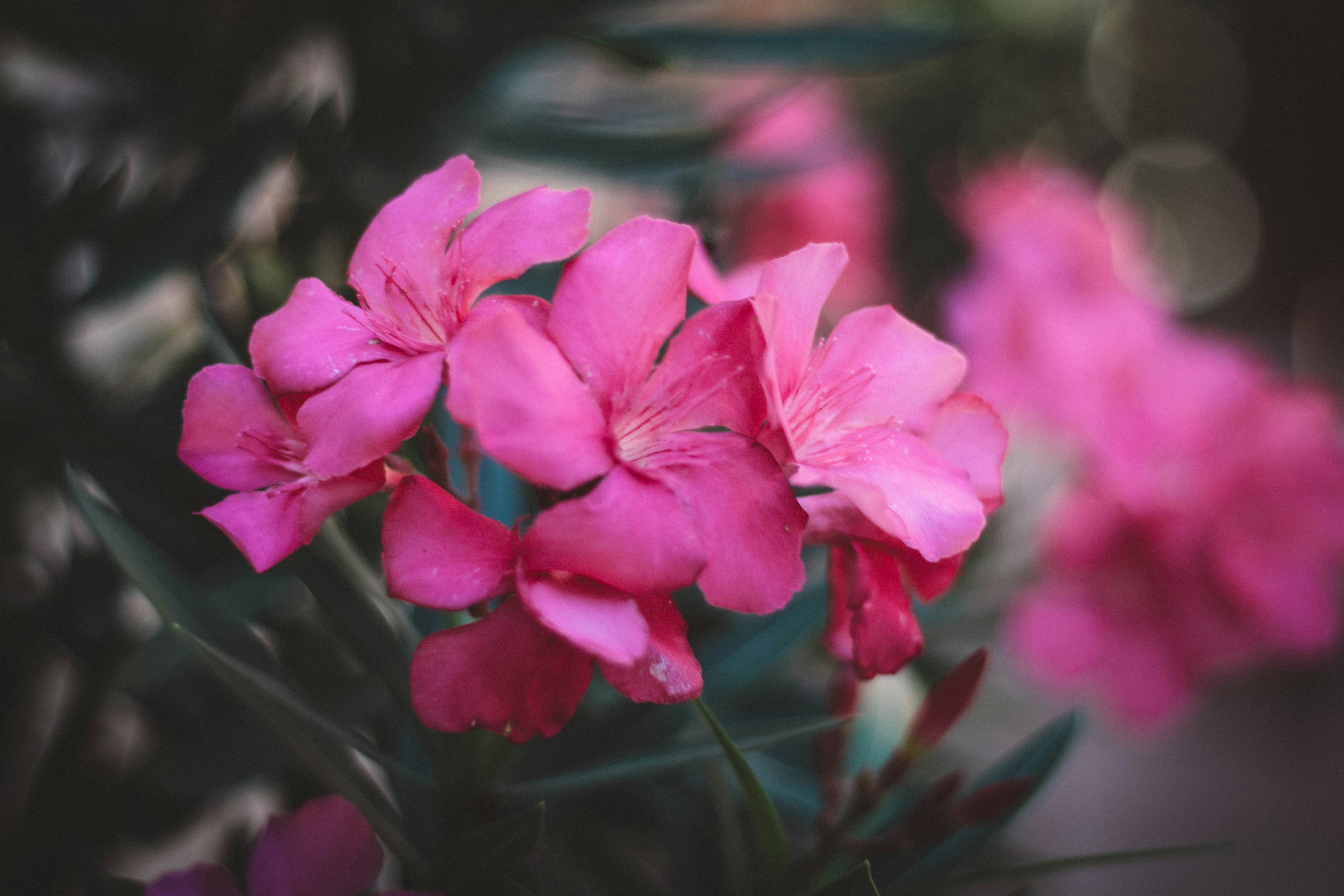 Photo by ryangerrard