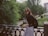 A happy woman wearing a stylish outfit in a park.