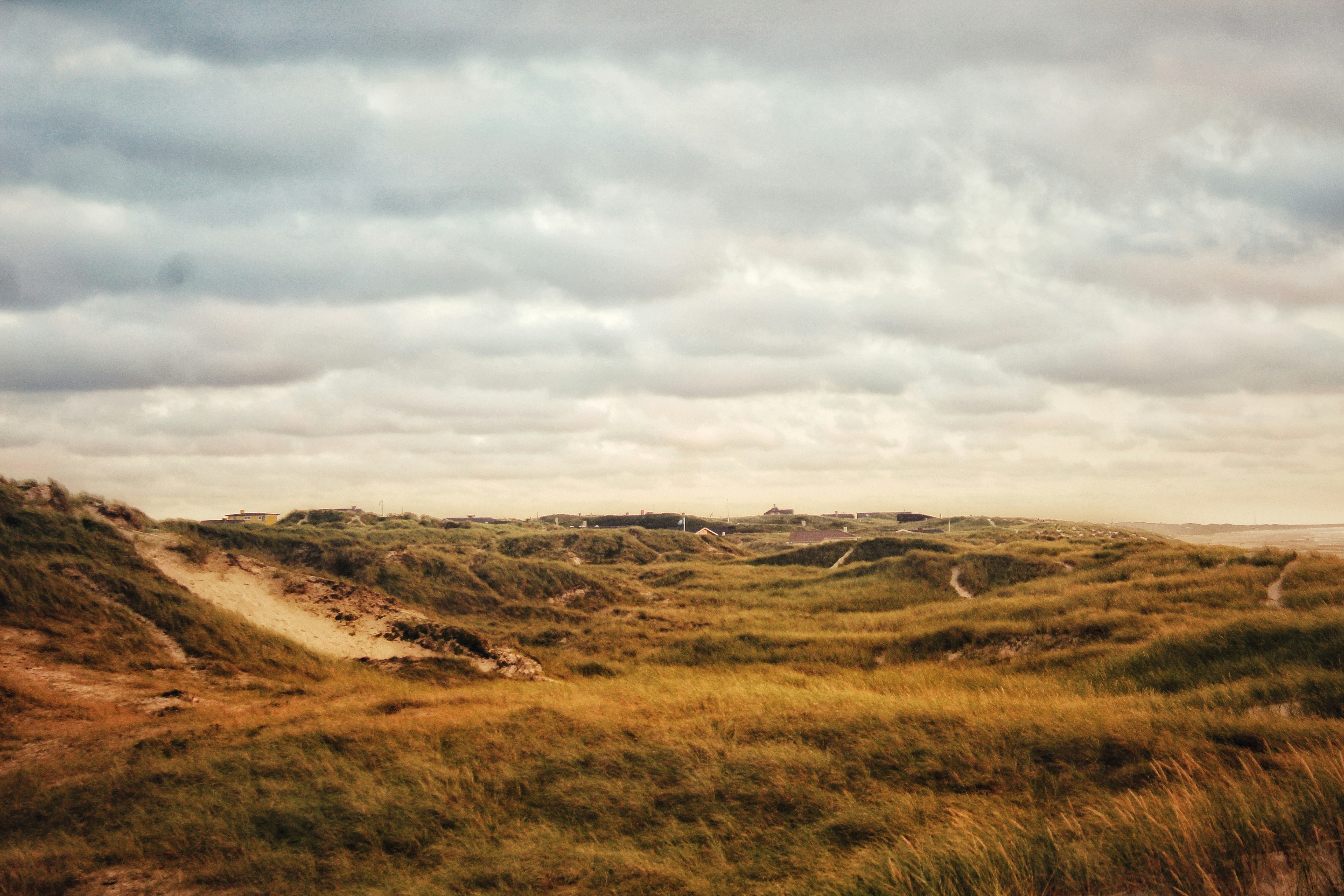 Photo by liam_arning