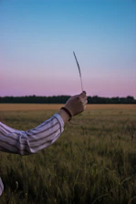 A farmer holding freshly harvested wheat stalks in a sunny field.