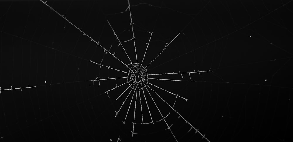 spiderweb in darkness