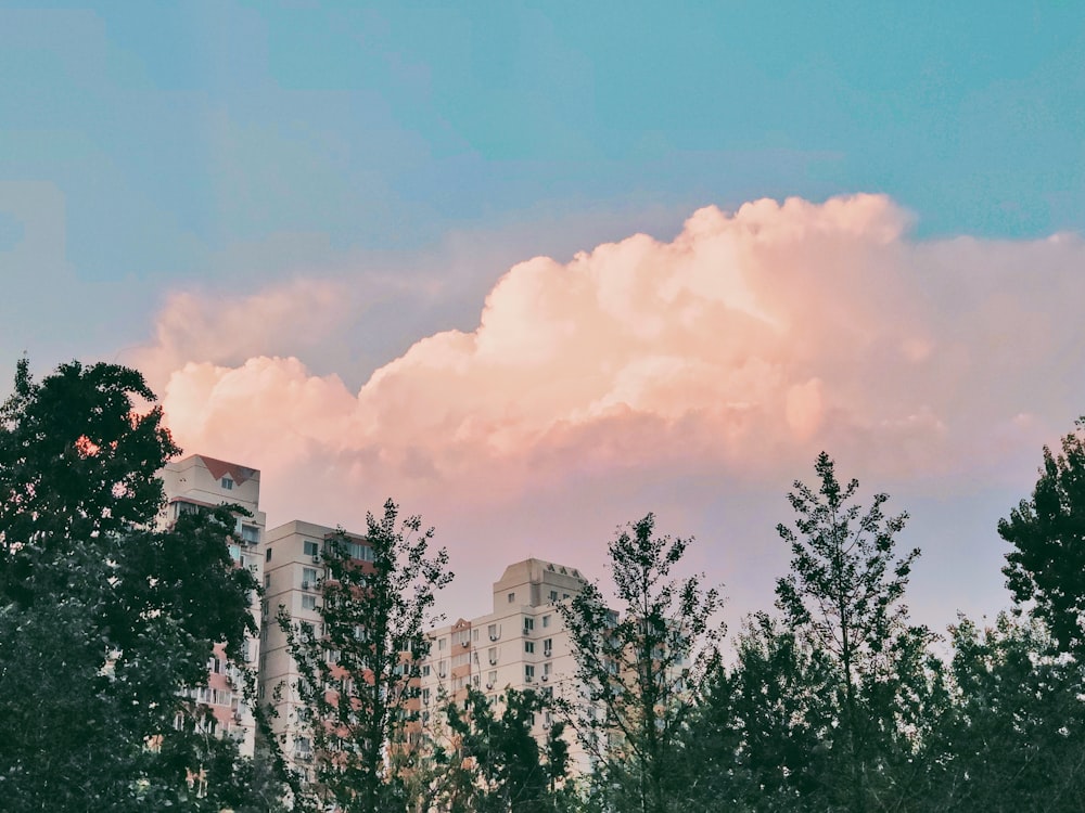 high rise buildings near trees