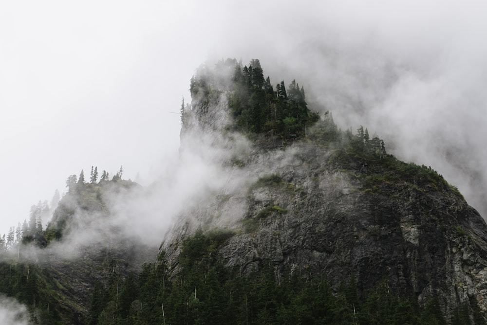 rock mountain with trees covered with clouds