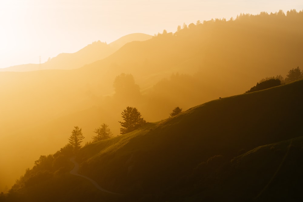 landscape photo of a mountainside at sunrise