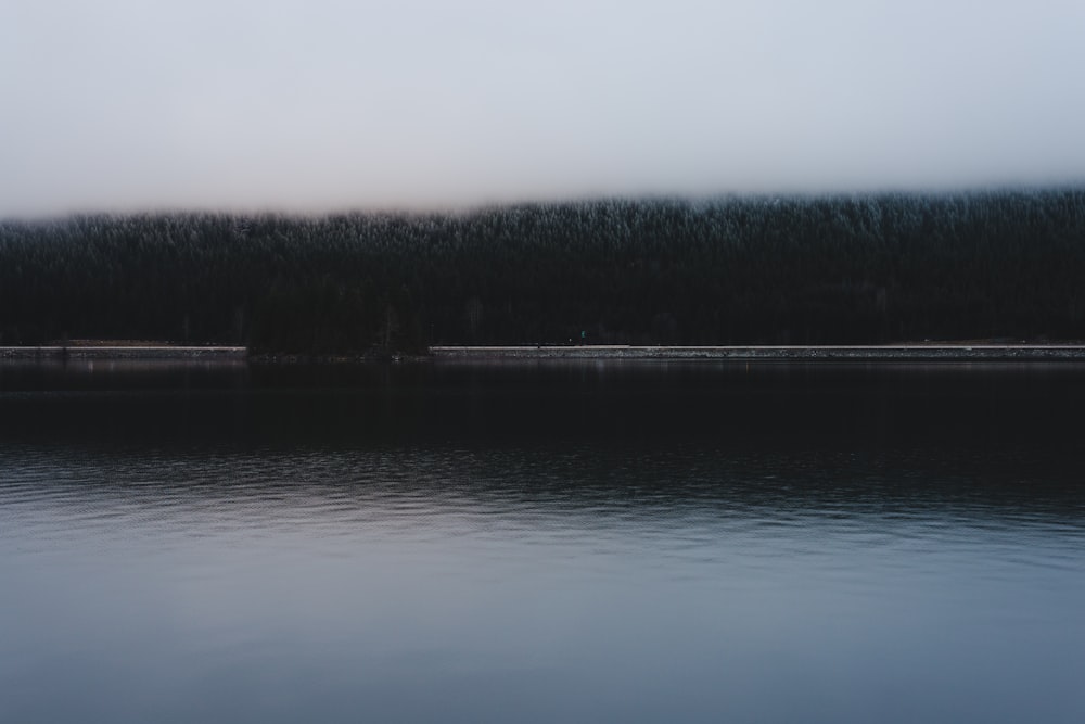 landscape photo of a lake and forest