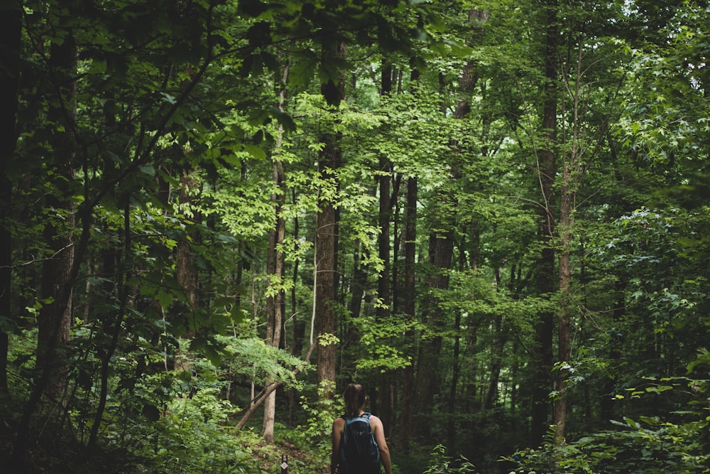 person standing and facing on tall green trees