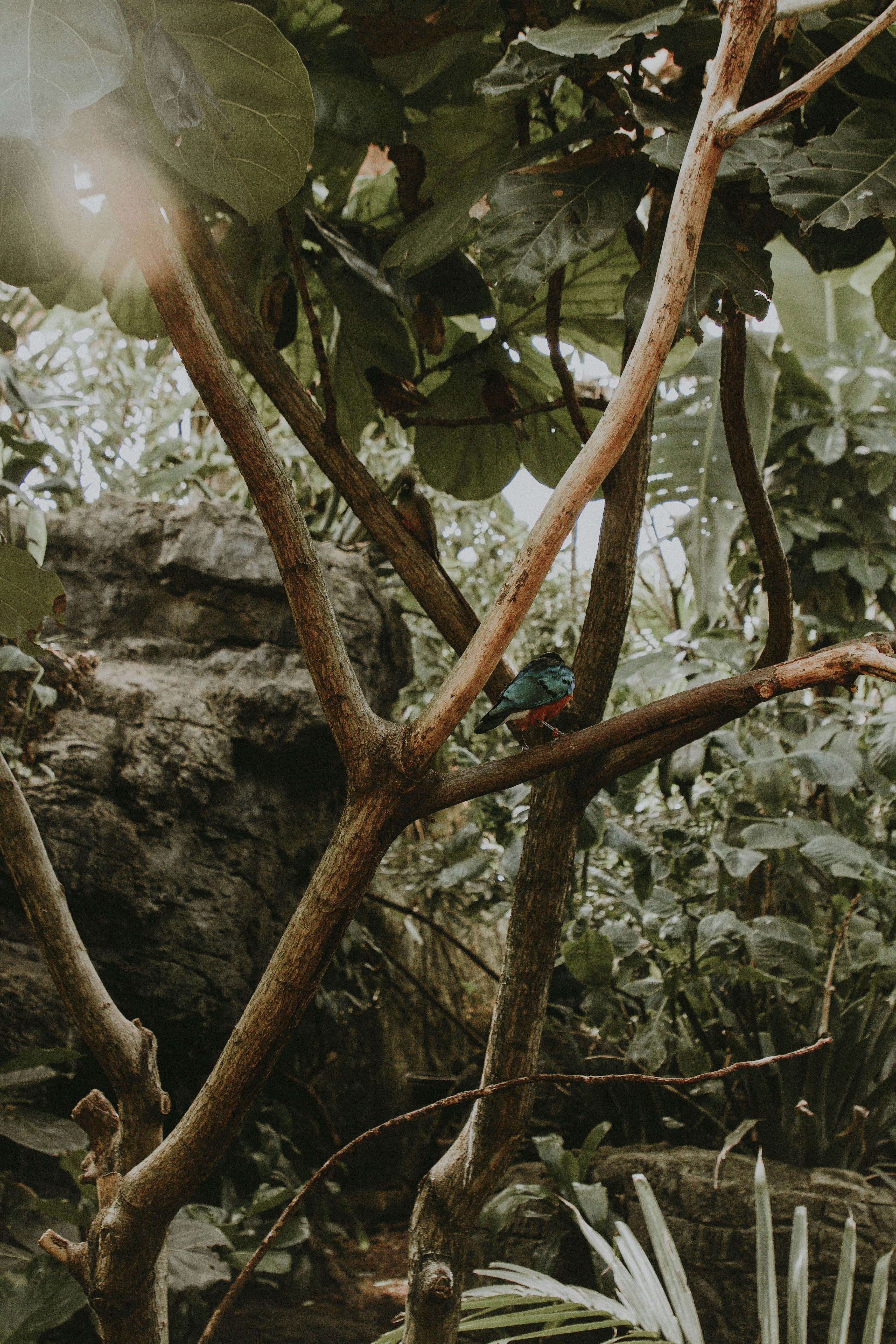 Photo by liubovilchuk