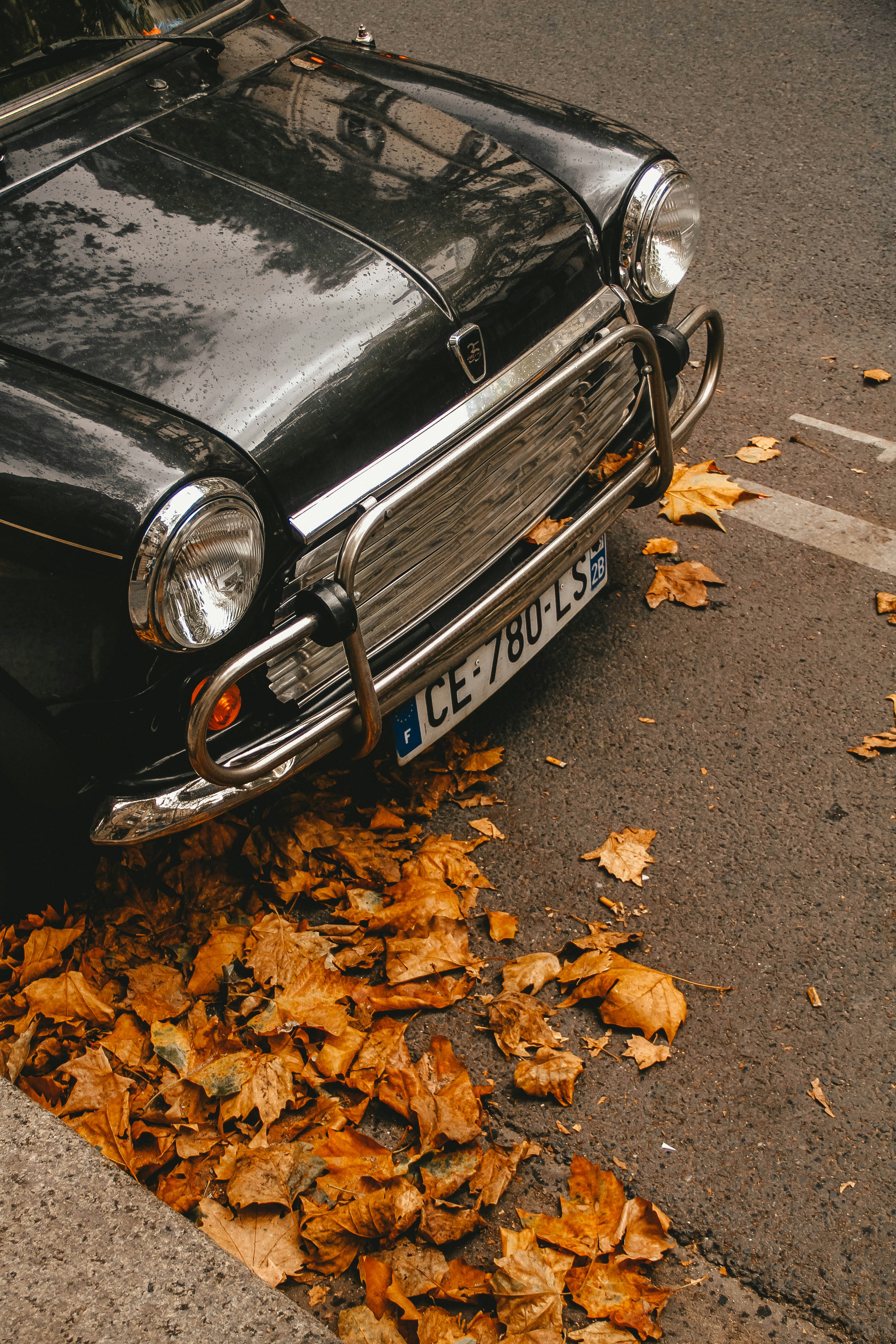 Photo by liubovilchuk