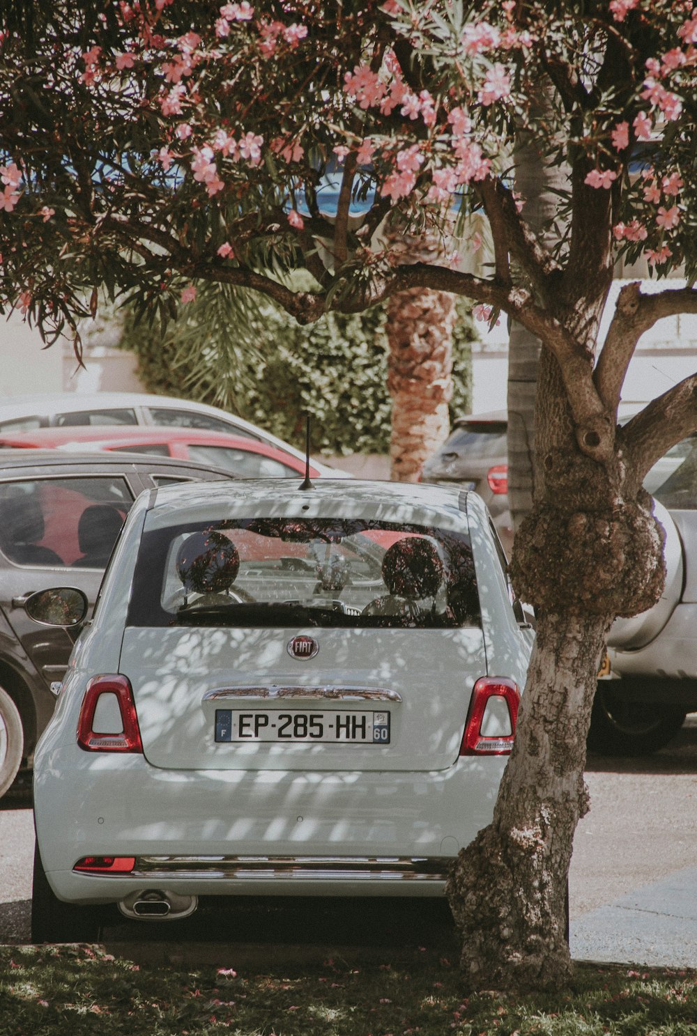 white FIAT hatchback