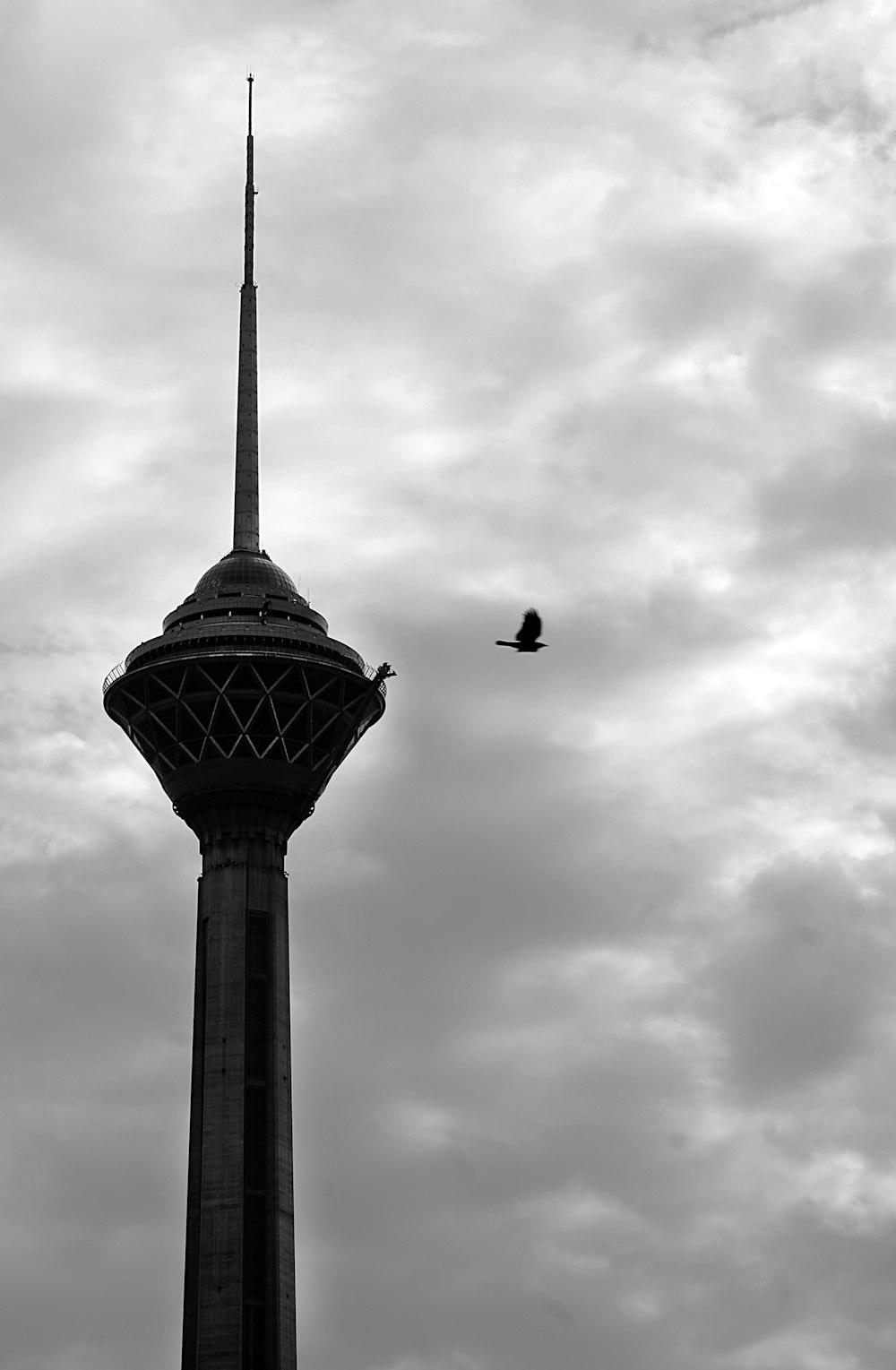 Graustufenfoto eines Vogels im Flug zum Turm unter bewölktem Himmel