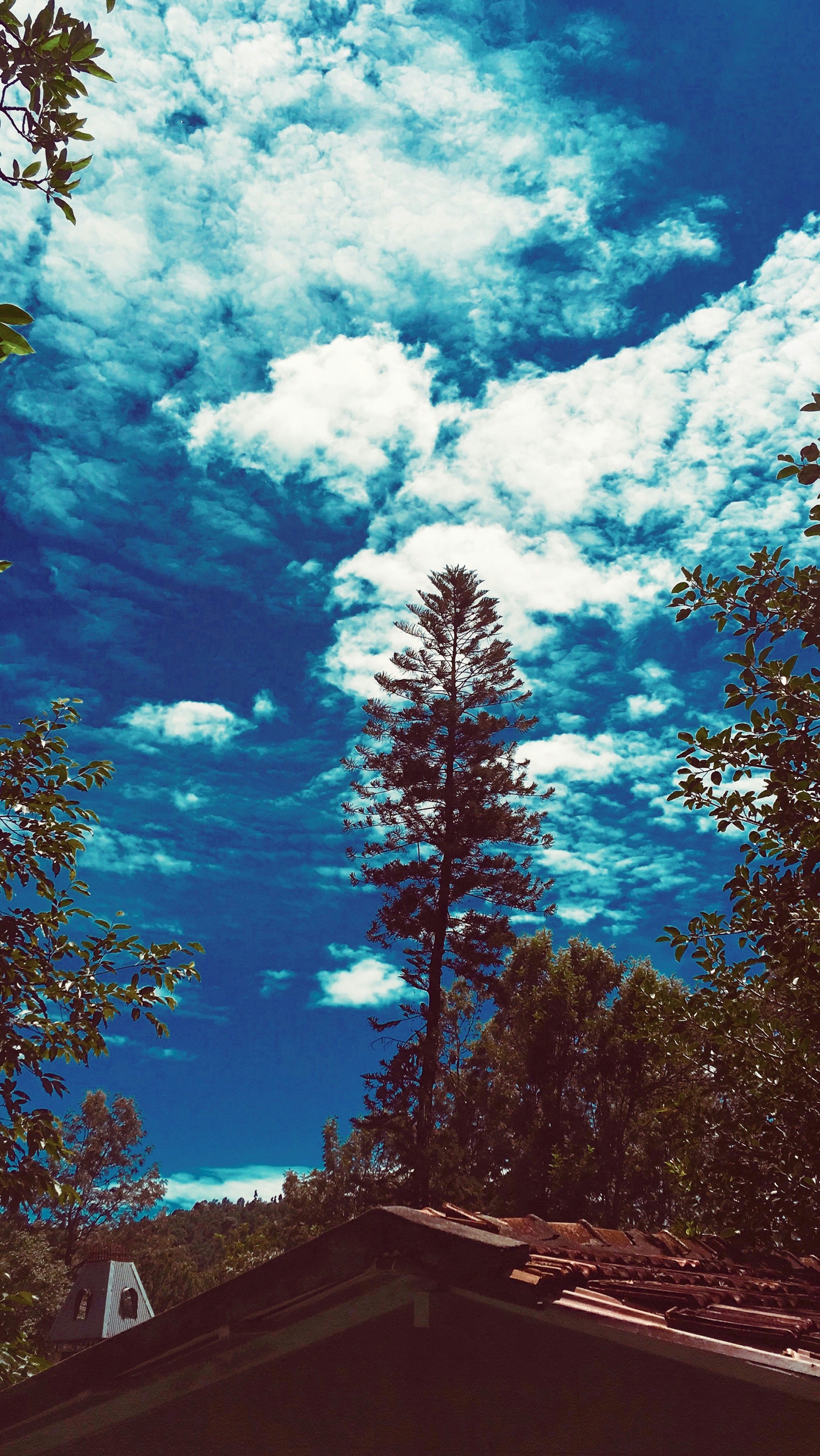 white and blue cloudy sky over house and trees