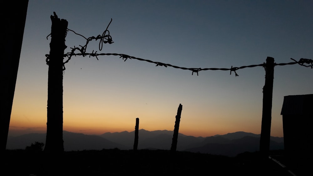 silhouette of fence and barbed wire