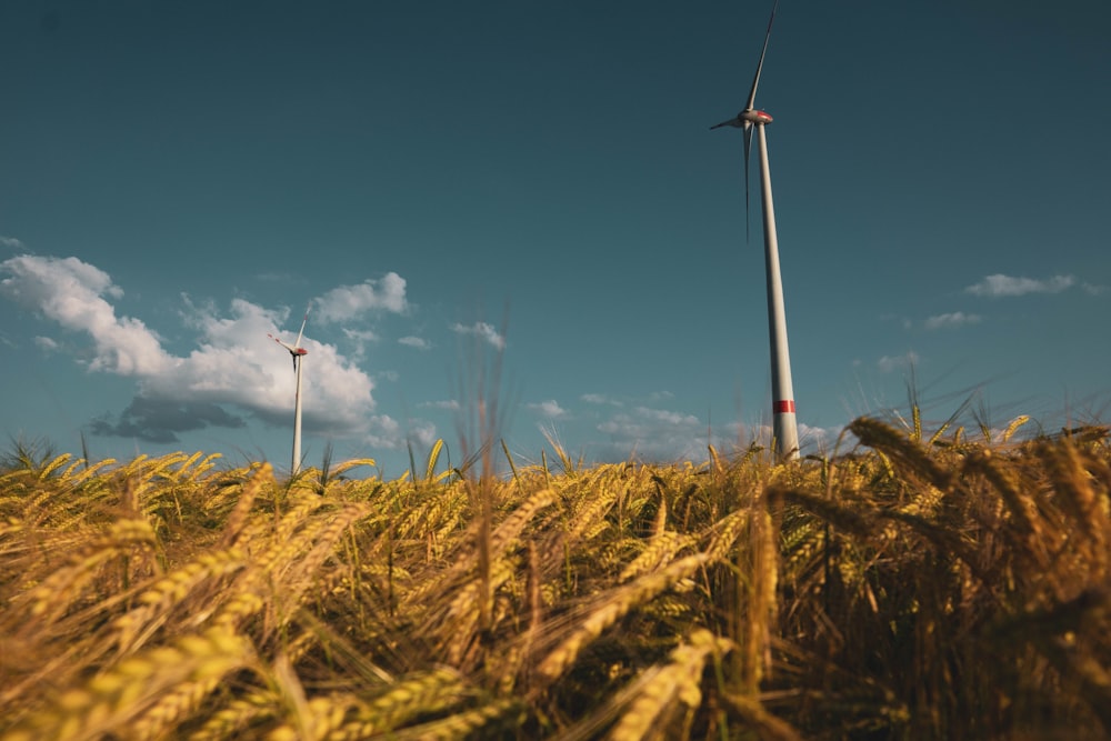 architectural photography of two white turbines