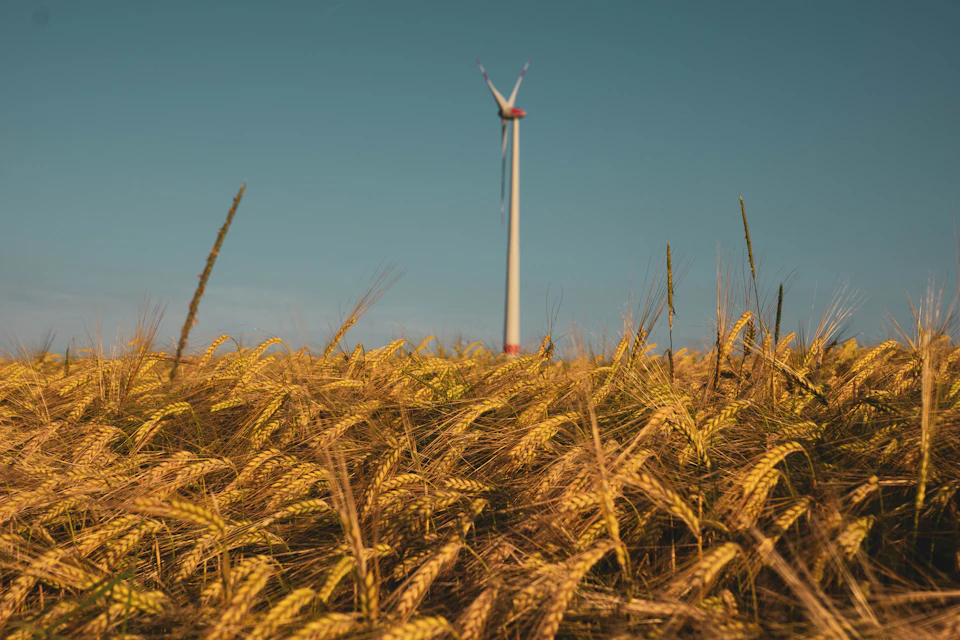 The image depicts a serene wheat field under a clear blue sky, with tall golden stalks swaying gently in the breeze. In the center of the frame stands a white wind turbine, its blades spinning rapidly and harnessing the power of the wind to generate electricity. The perspective is from below, looking up at the towering structure against the backdrop of the expansive field.