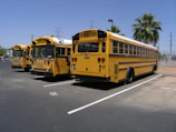 three parked yellow busses