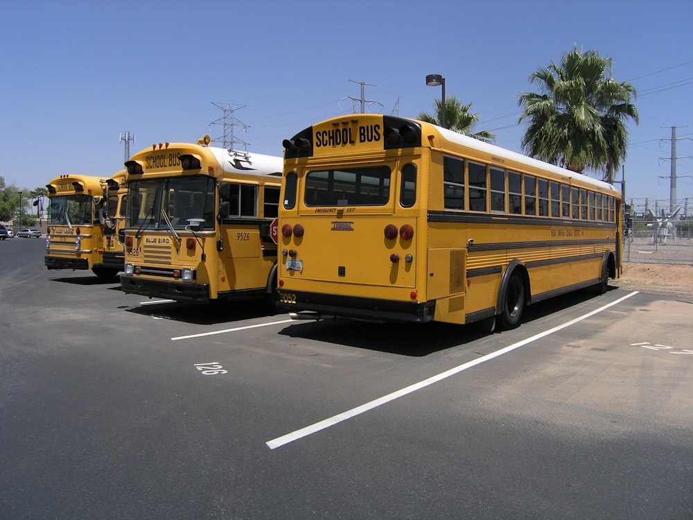 three parked yellow busses