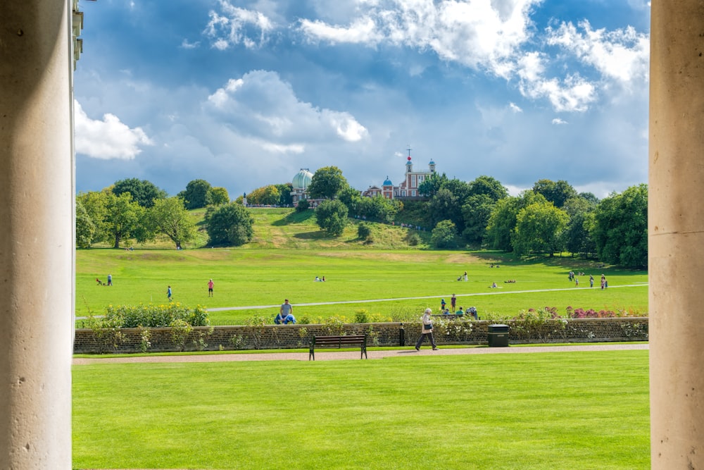 people on green grass field