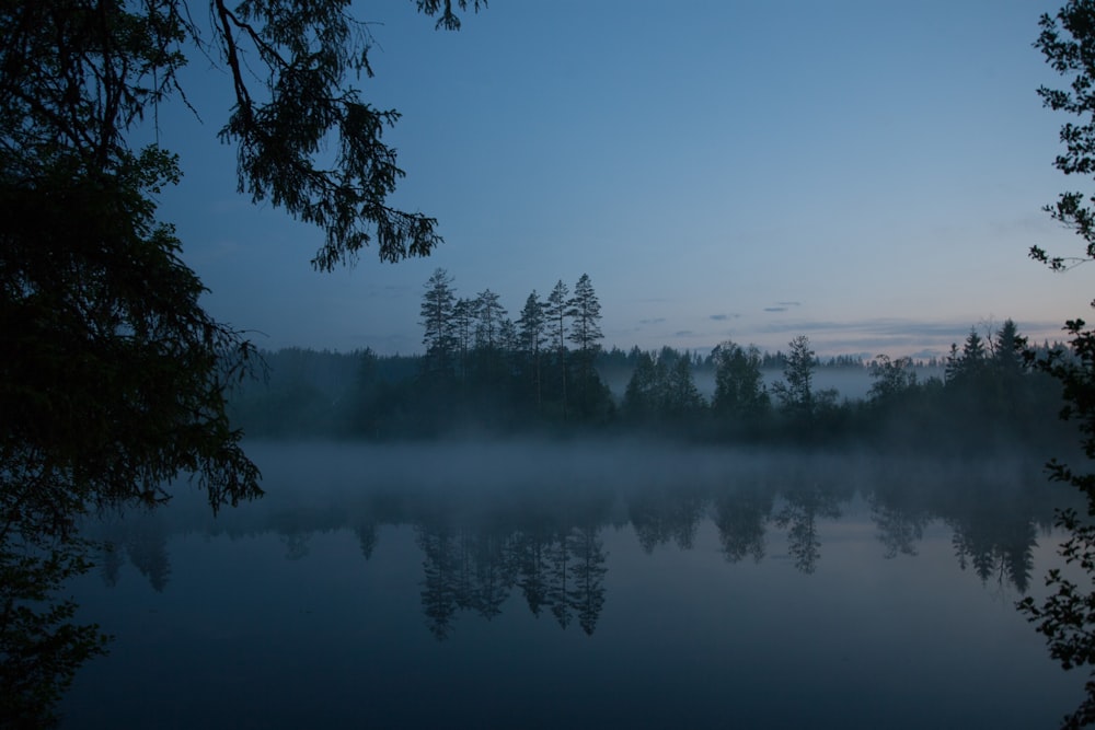 body of water surrounding trees during daytime