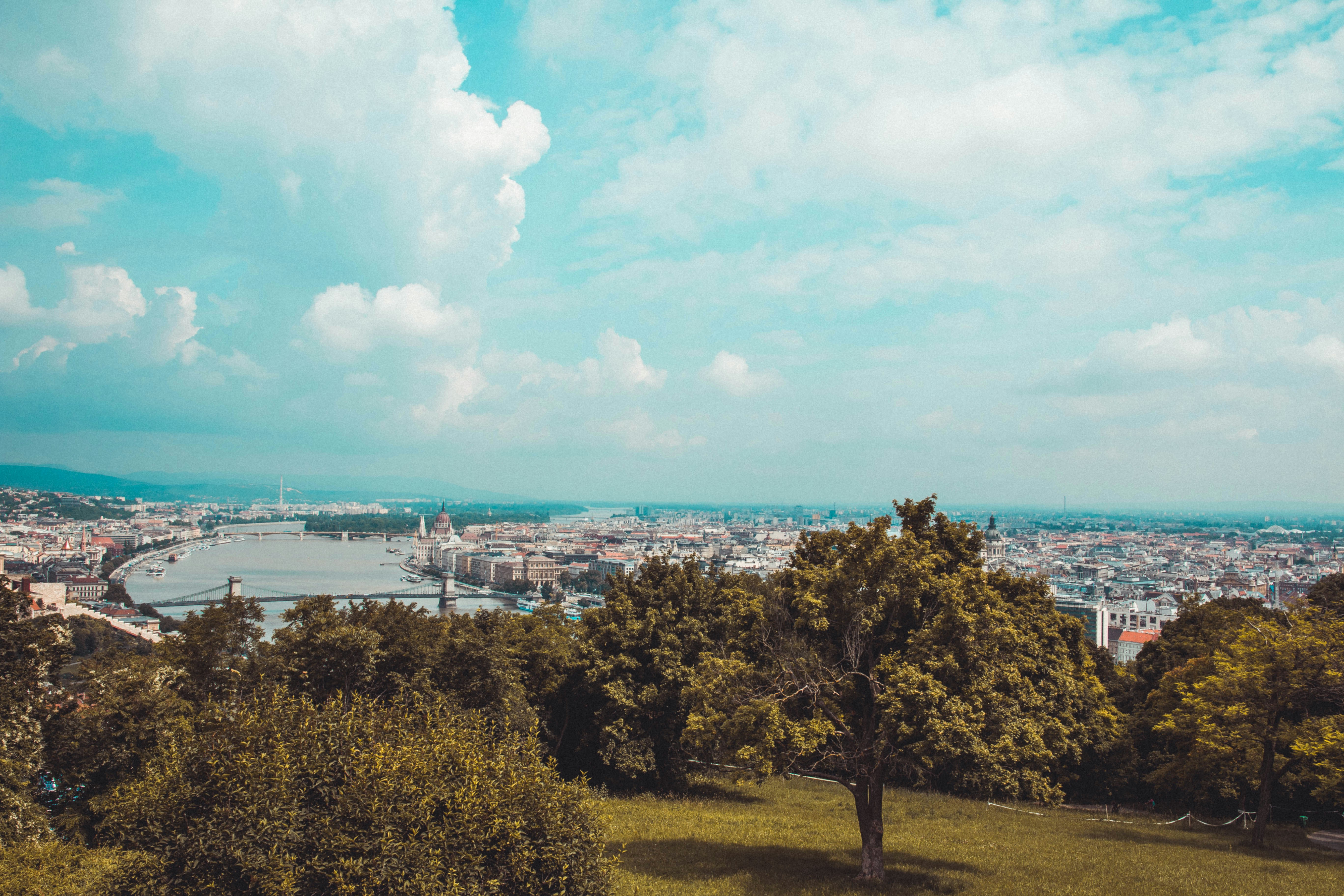landscape view of park near city at daytime