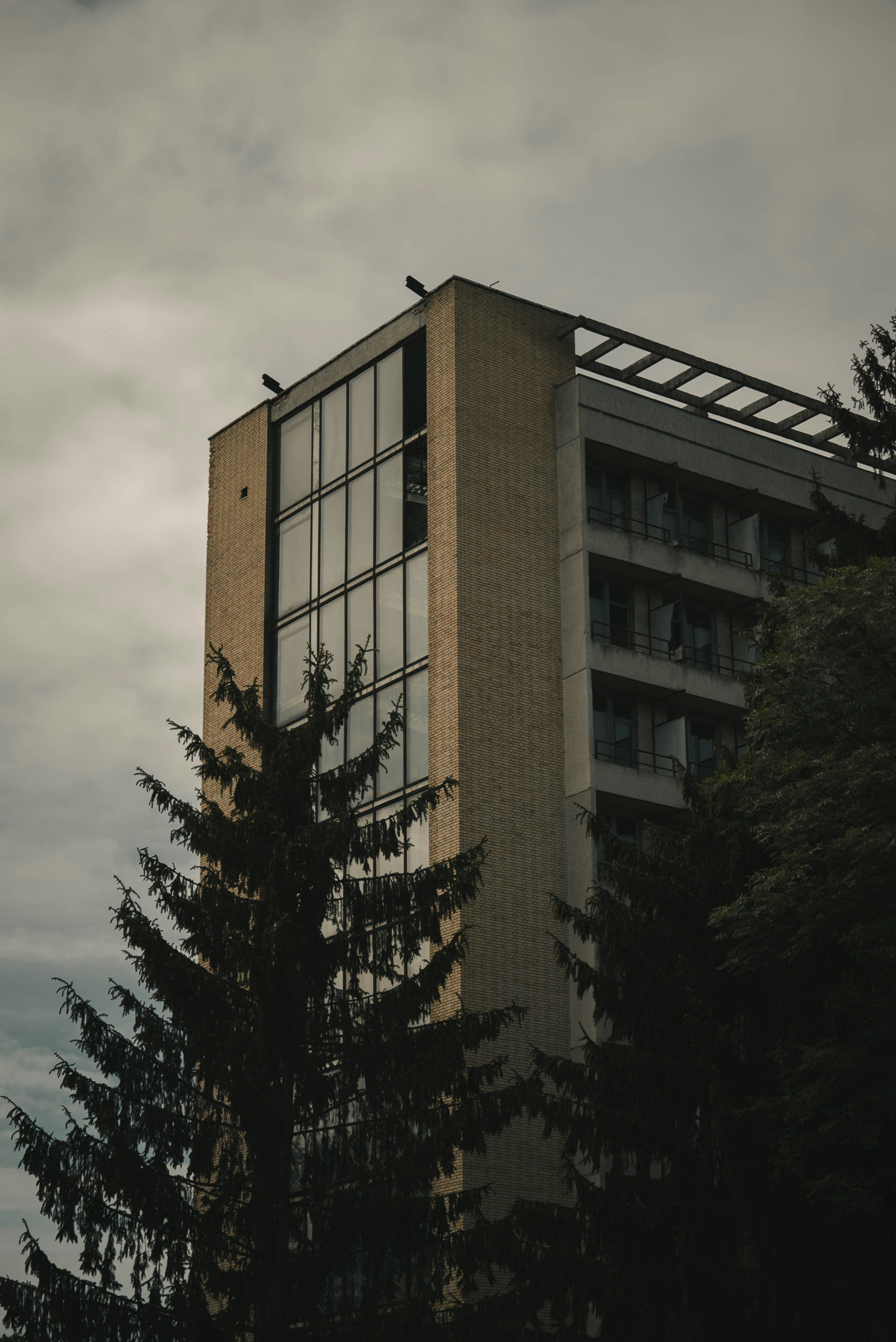 Photo by karolismili