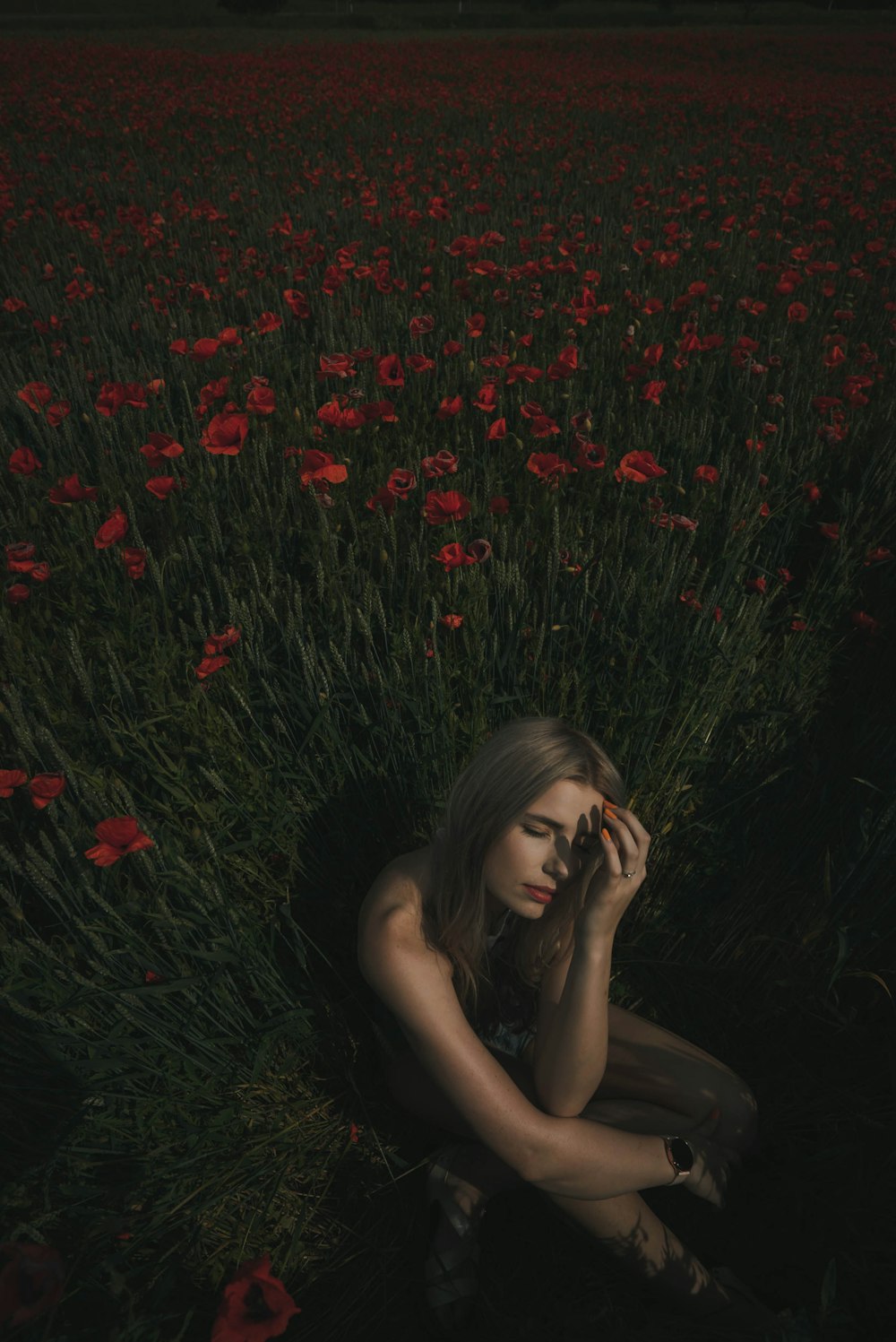 unknown person sitting beside green-leafed plant with red flowers