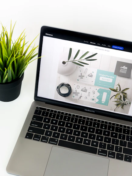 Plant Recognition