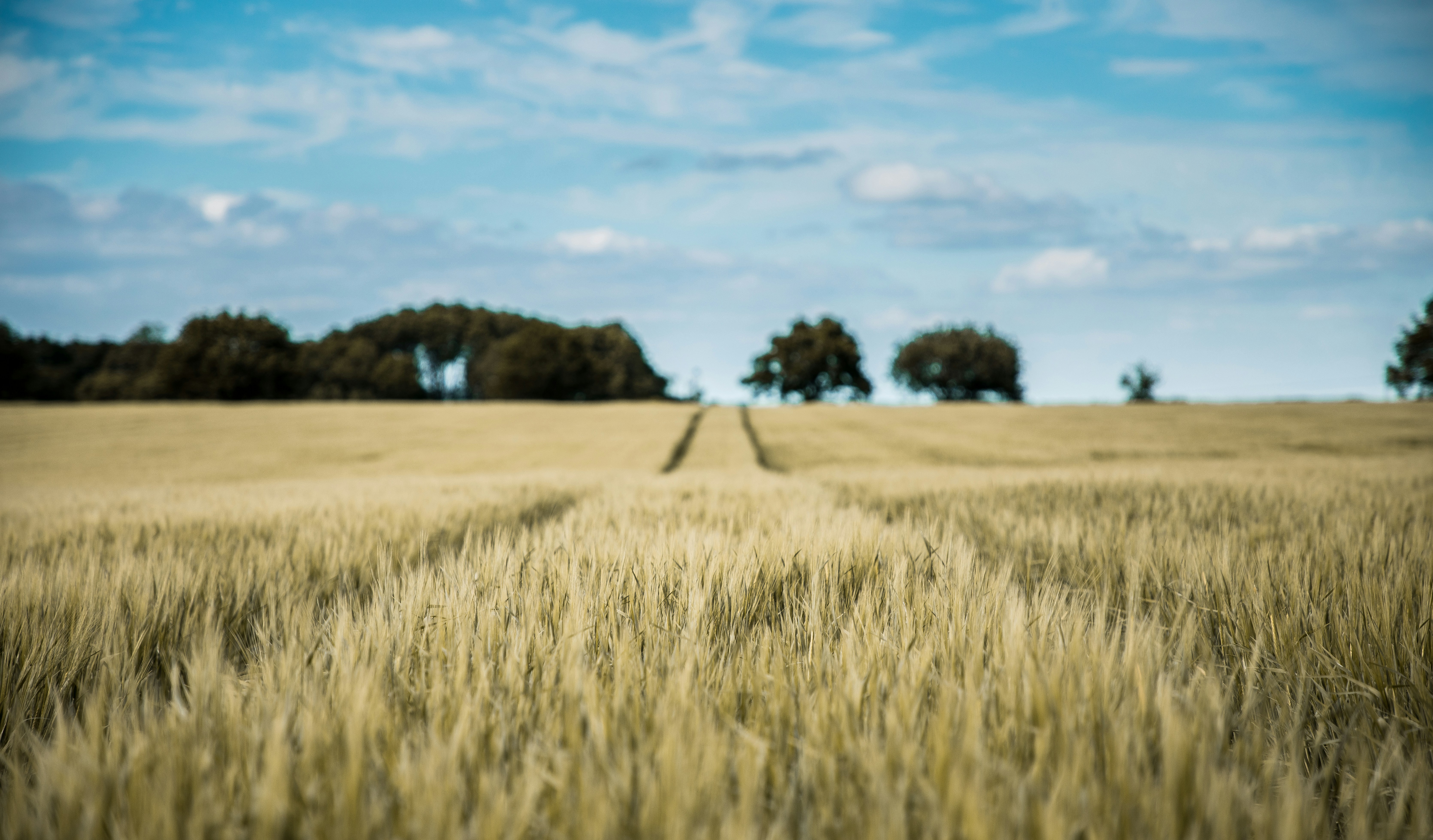 Photo by jamie_davies