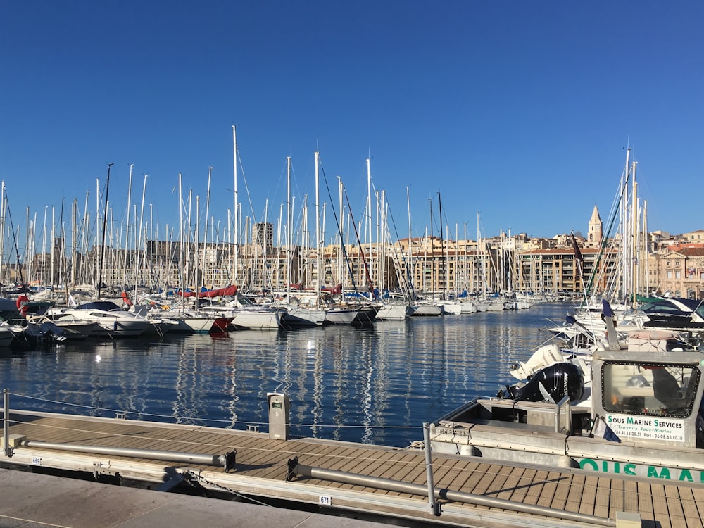 marina with yachts during daytime