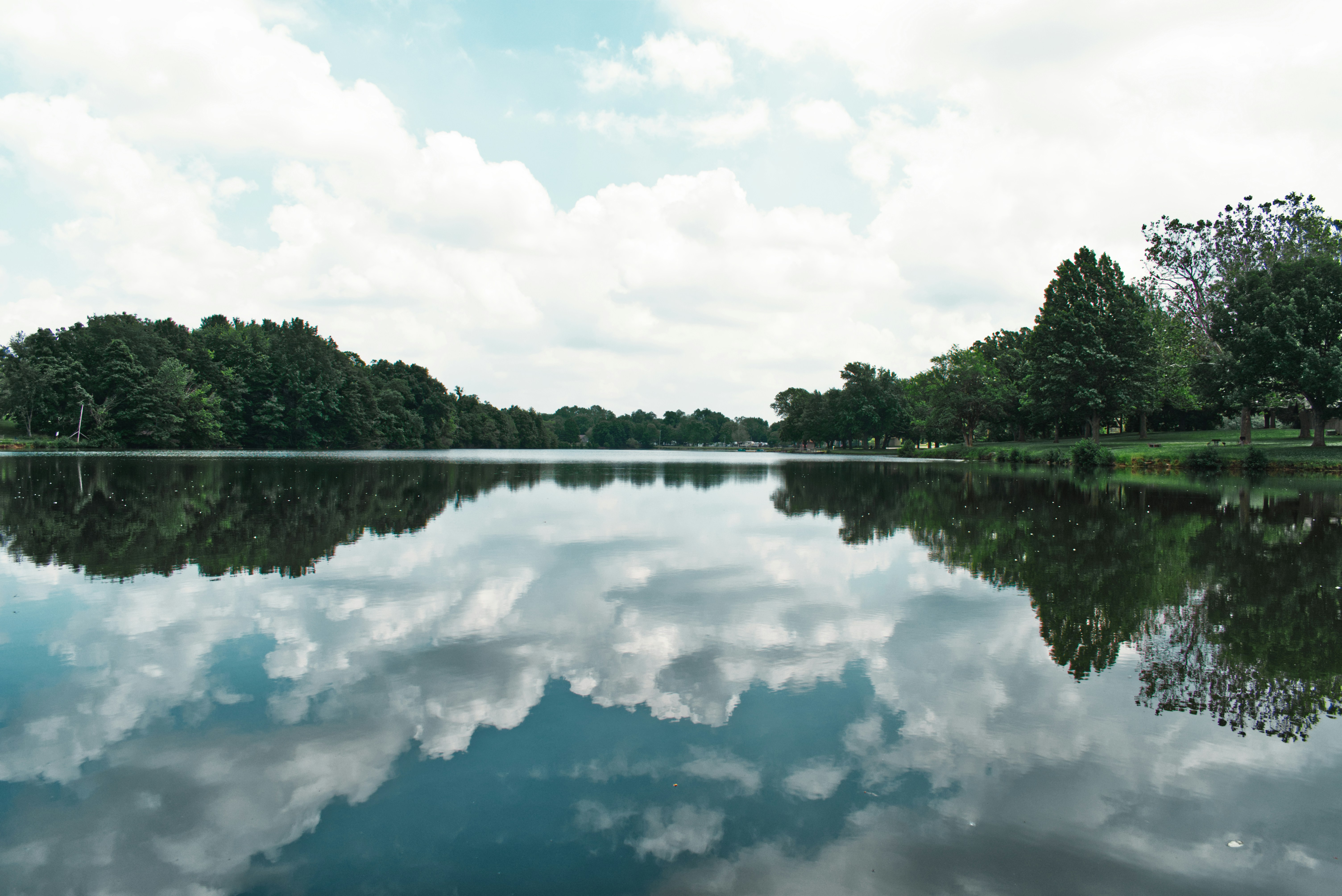 Photo by ldpeterson11