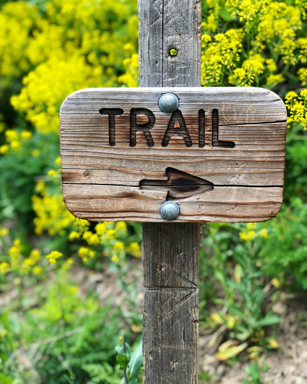 Markiertes braunes Holzschild mit Trail-Gravur