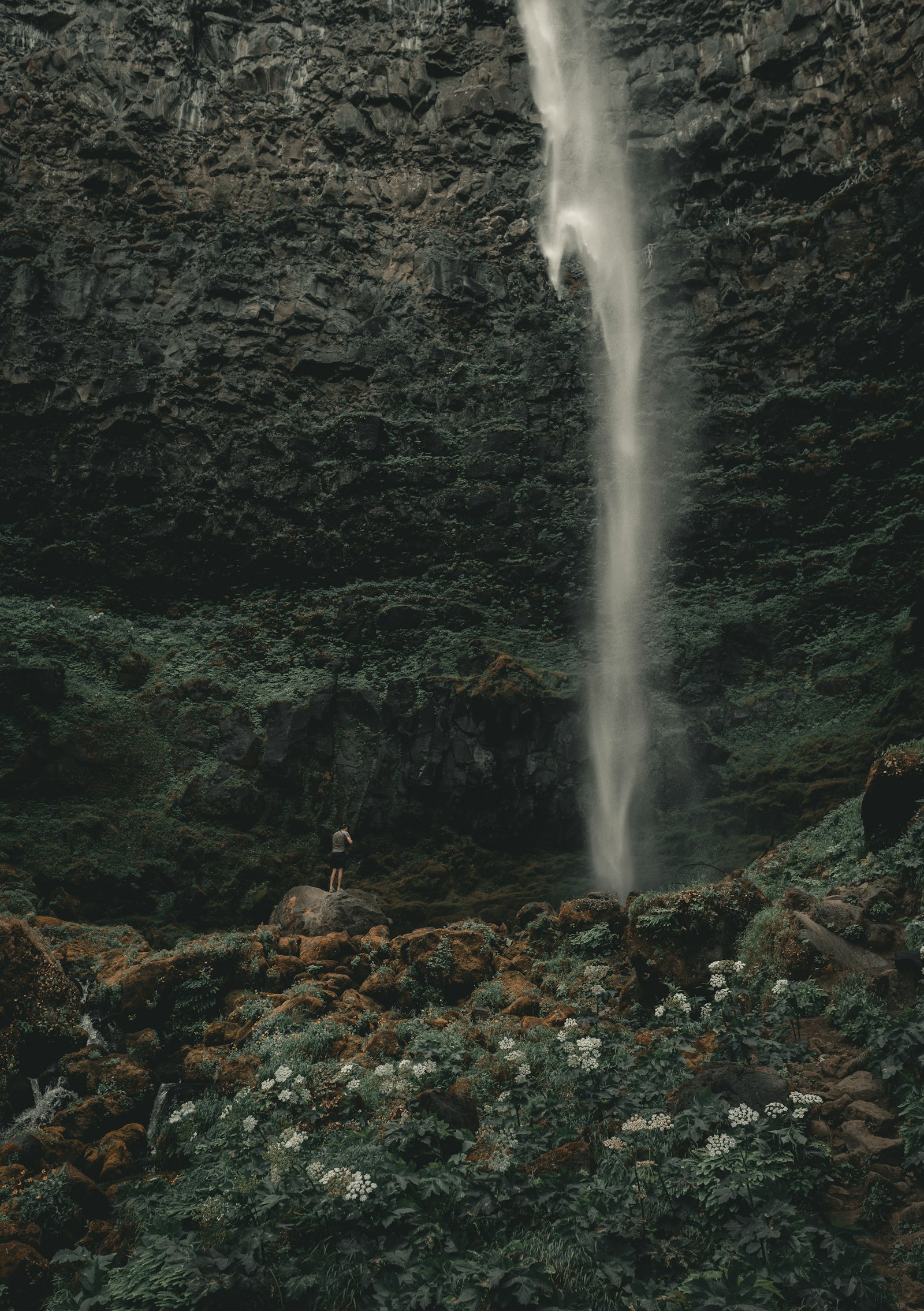 Nikon D810 sample photo. Person standing near waterfall photography