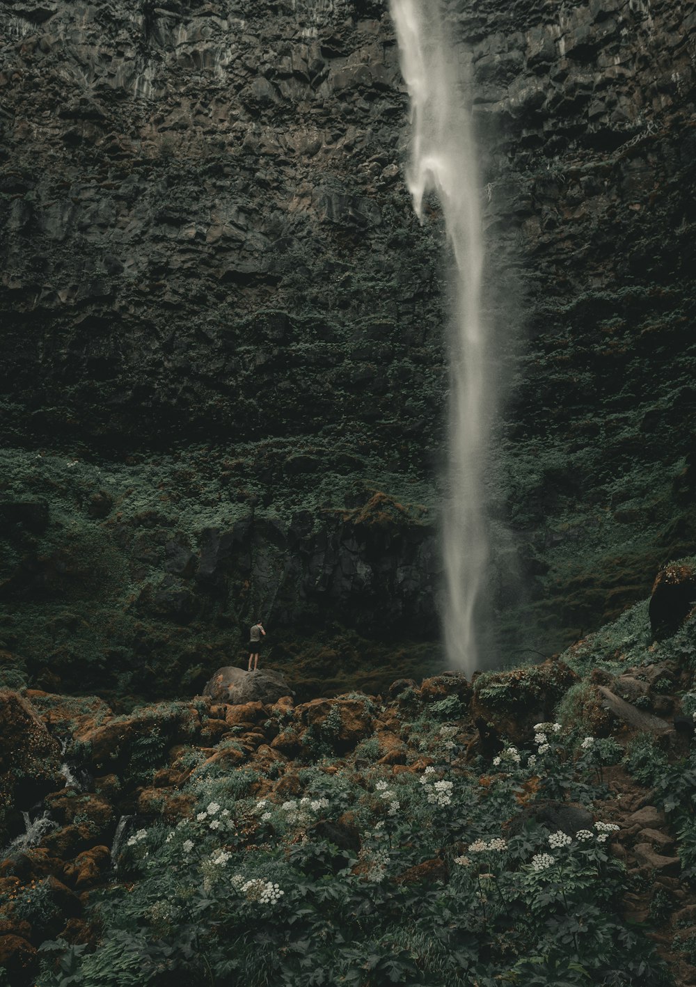 person standing near waterfall