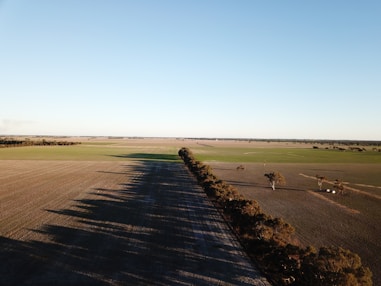 A vast agricultural landscape with a clear division between plowed land and green fields, marked by a line of trees casting long shadows due to the angle of the sun.