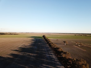 Vast agricultural land with plantations and clear boundaries