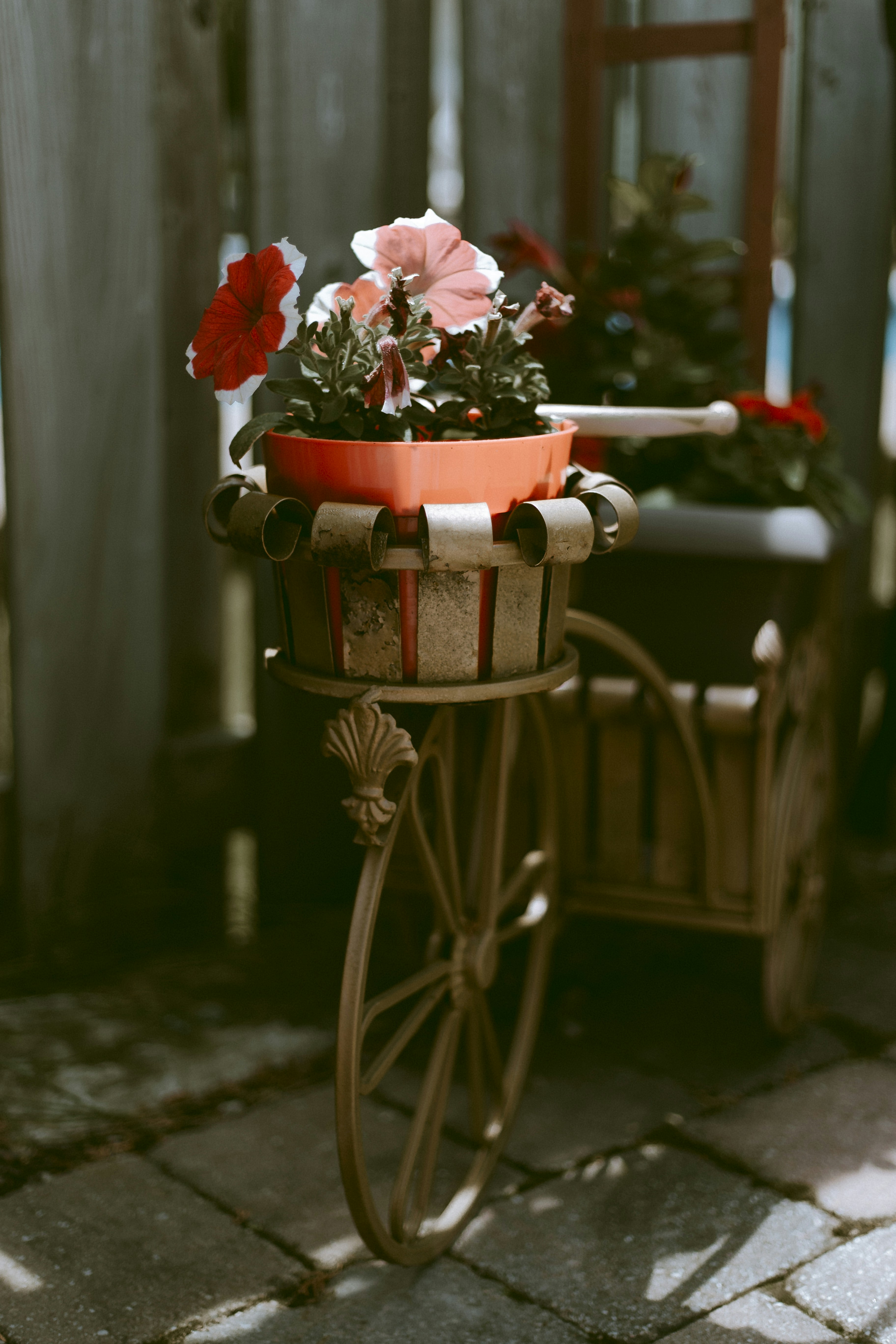 Photo by natashareddy