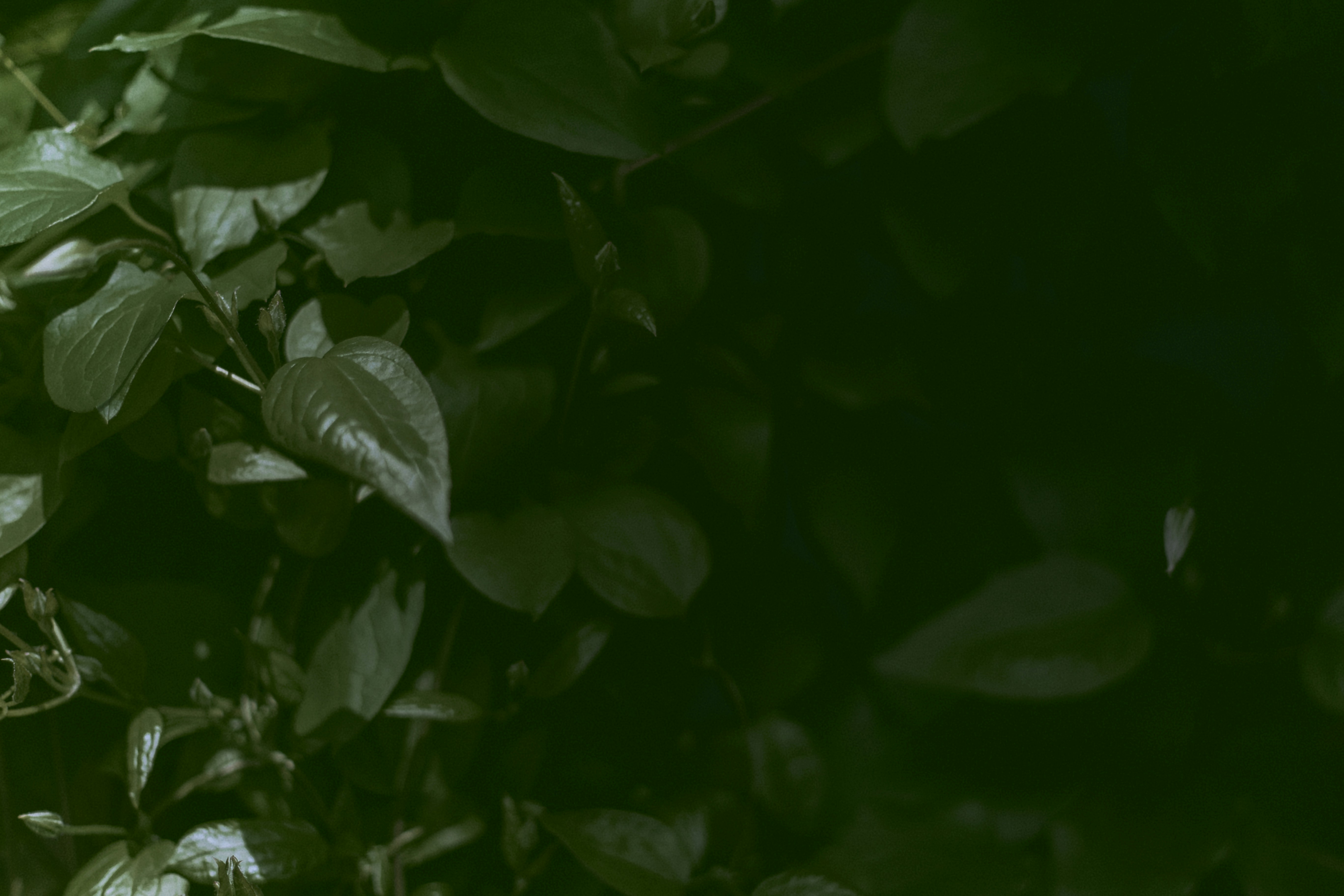 Photo by natashareddy