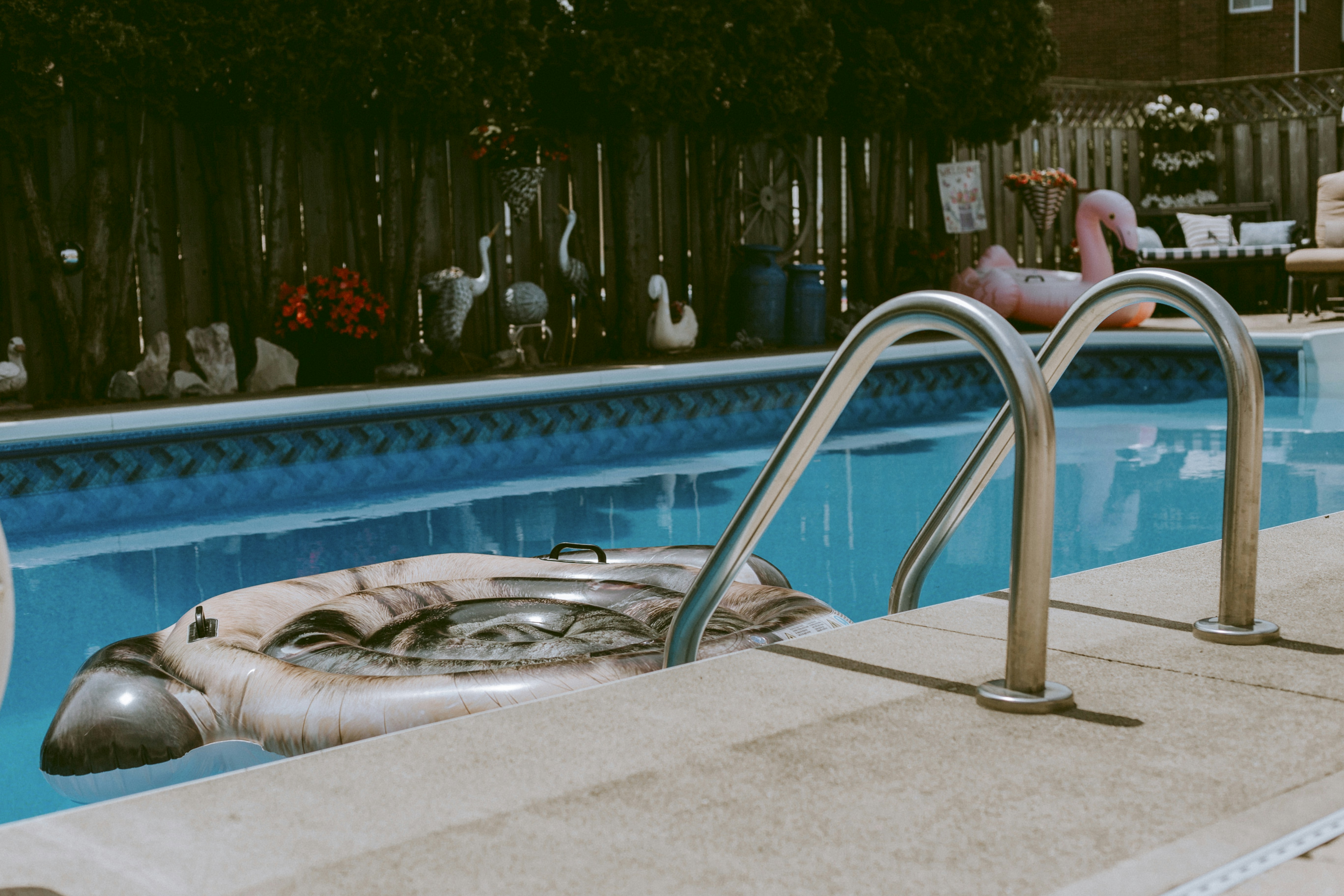 Photo by natashareddy