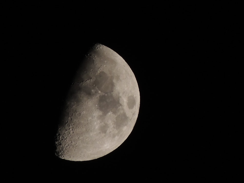 grey half-moon close-up photography