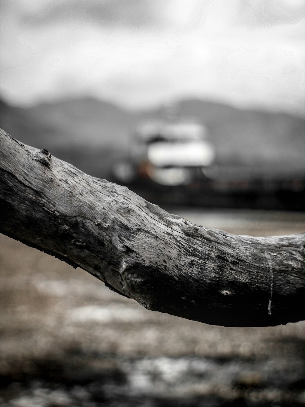 Fotografía de enfoque selectivo de madera gris