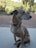 A medium-sized dog with light brown fur and a darker brown nose sits on a concrete surface. The dog's ears are perked up, and it looks attentively towards the right. In the background, there are trees, shrubs, and some potted plants, creating a calm, natural setting.