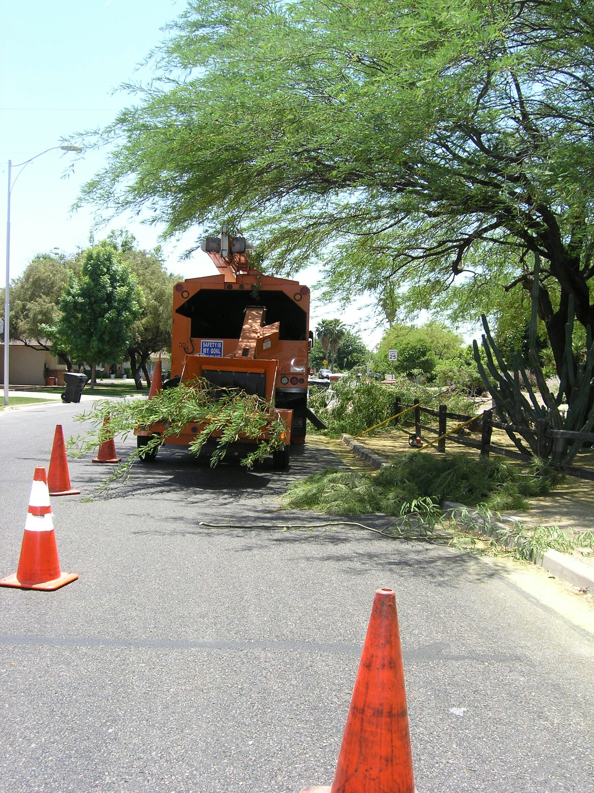 What Not to Put in a Wood Chipper?