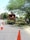 A wood chipper is positioned on a road surrounded by orange traffic cones. It is processing tree branches, with piles of foliage on the ground. A large, leafy tree and additional greenery are visible along the roadside, creating a lush environment.