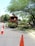 A wood chipper is positioned on a road surrounded by orange traffic cones. It is processing tree branches, with piles of foliage on the ground. A large, leafy tree and additional greenery are visible along the roadside, creating a lush environment.