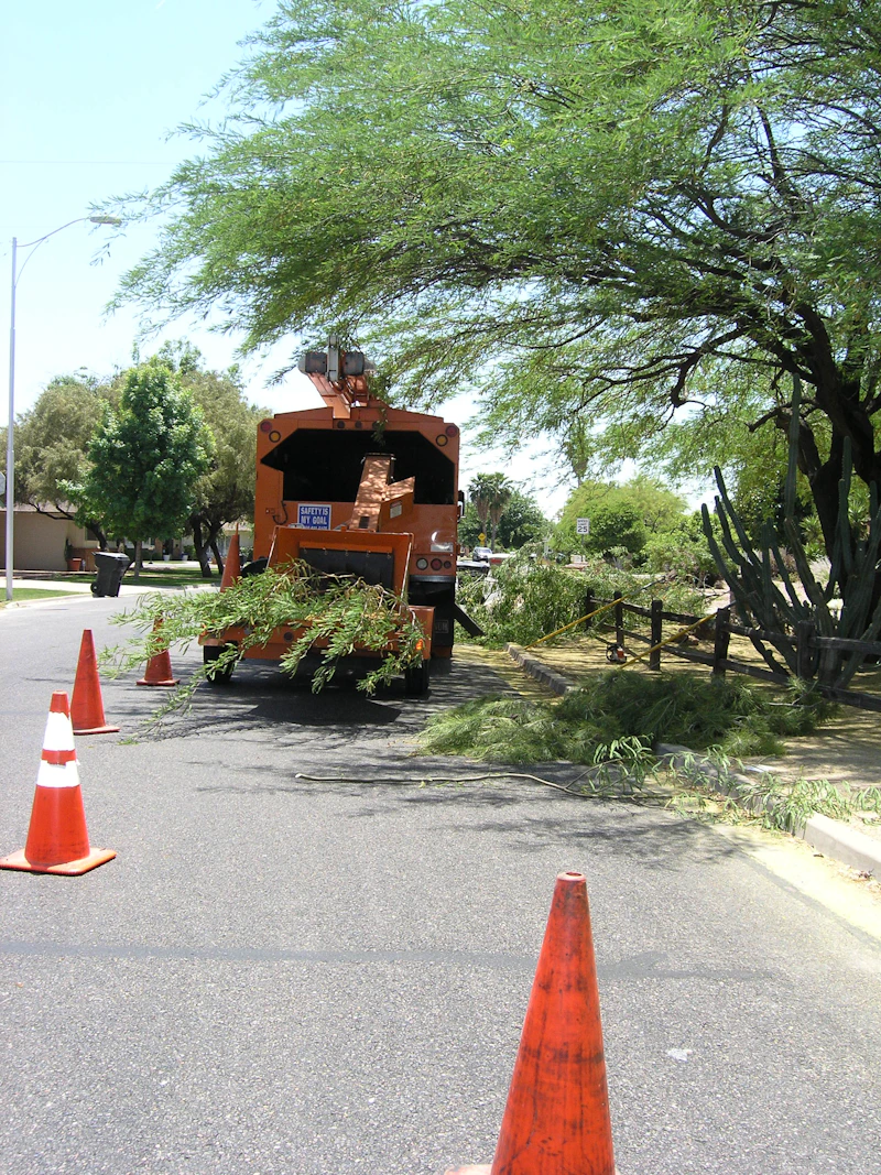 Yard Waste Removal