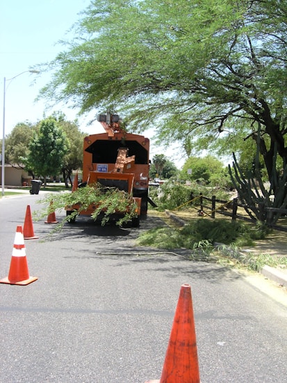 A wood chipper is positioned on a road surrounded by orange traffic cones. It is processing tree branches, with piles of foliage on the ground. A large, leafy tree and additional greenery are visible along the roadside, creating a lush environment.