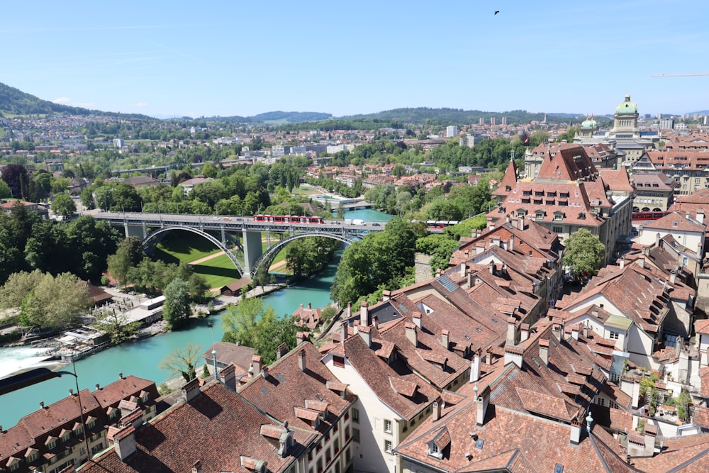 aerial view photo of brown roof houses during daytime