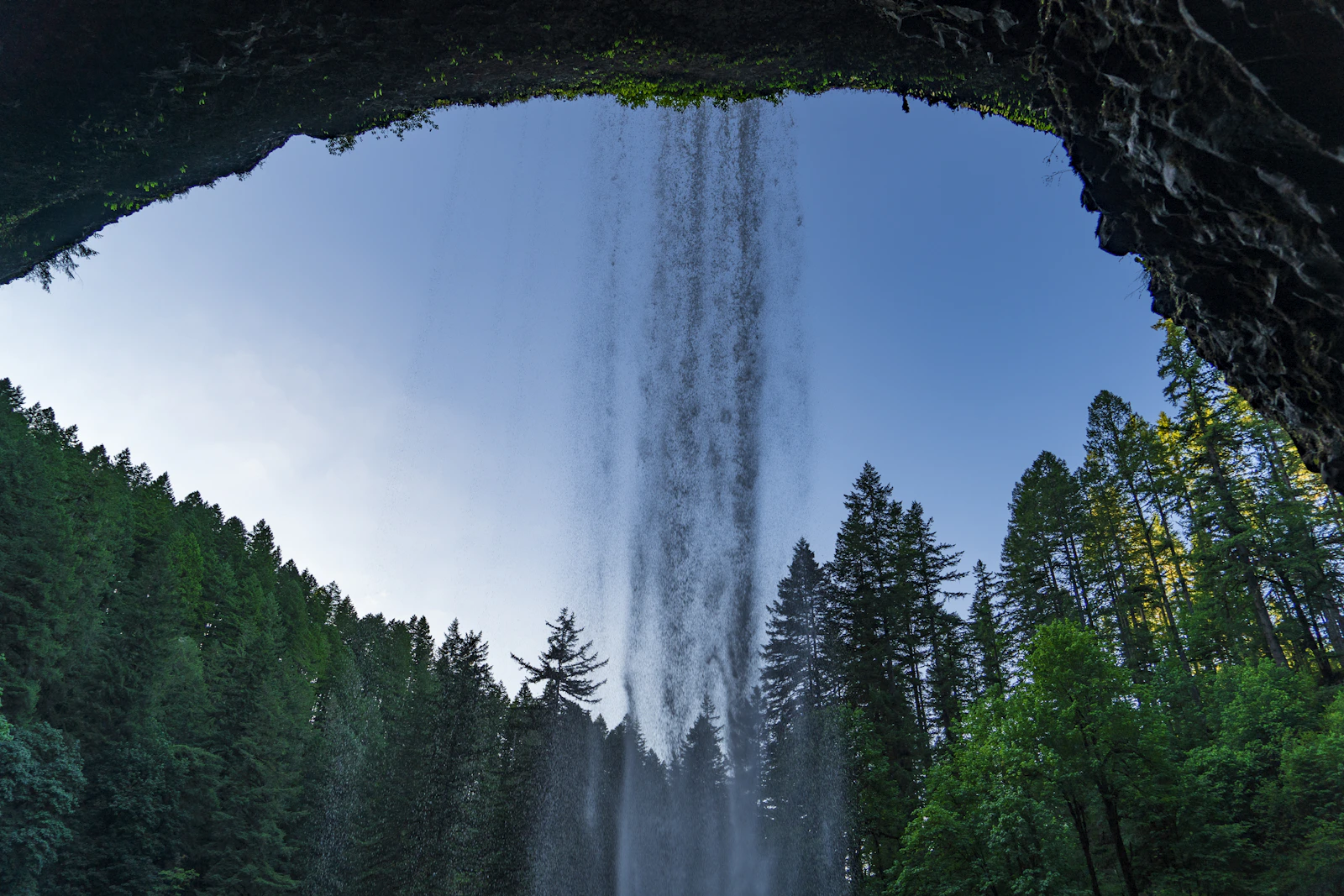 Silver Creek Falls Marion County Oregon old-growth forest Sandy Lyness Real Estate Santiam Canyon roots
