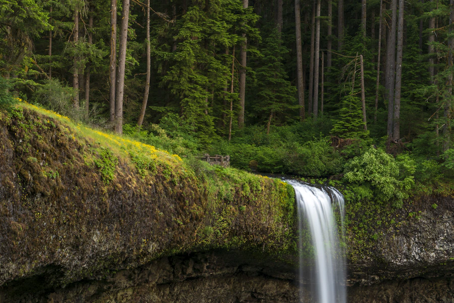 Waterfall cascading over a mossy cliff in an Oregon forest setting, similar to Paulina Falls
